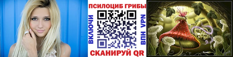 Псилоцибиновые грибы мухоморы  дарнет шоп  Кирсанов 